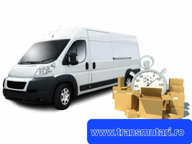 Transport mobila, transport marfa, firma mutari